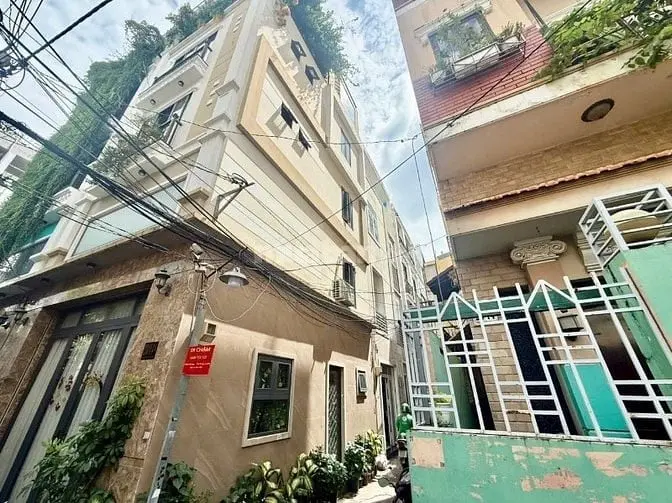 6017186 ảnh đại diện 1