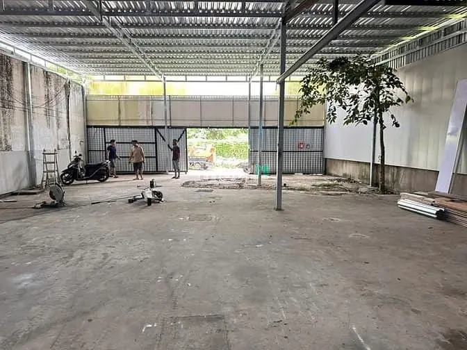 6016947 ảnh đại diện 1