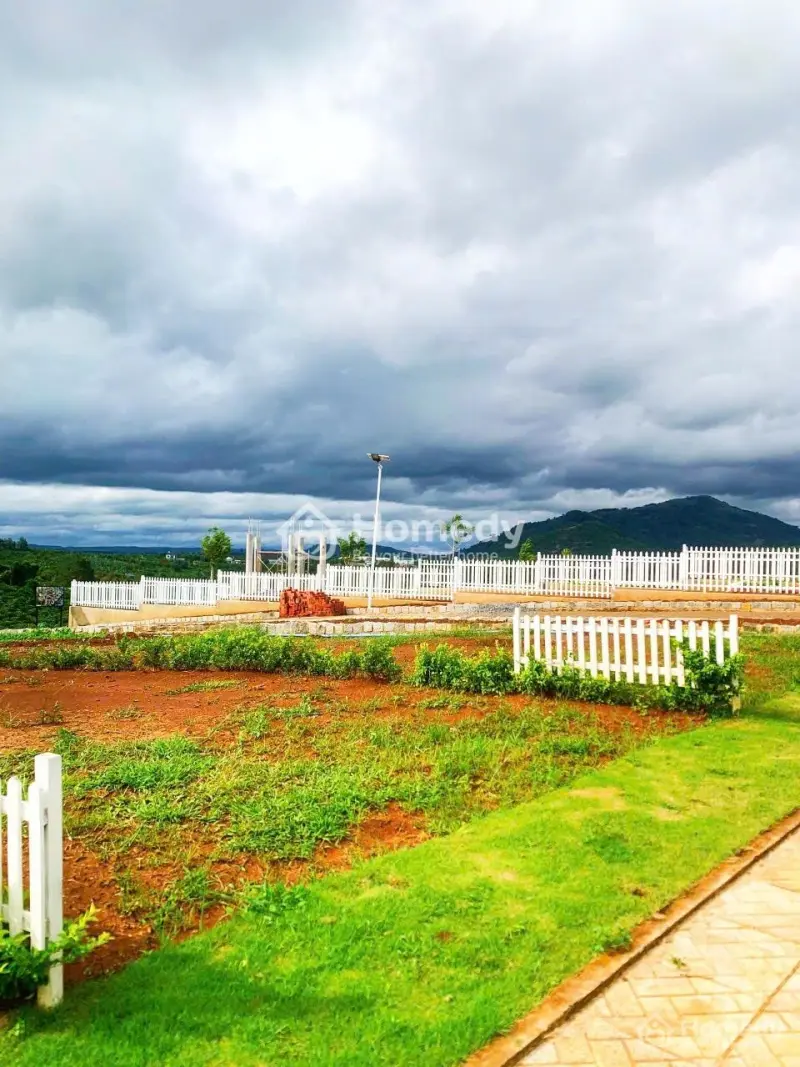 6017913 ảnh đại diện 1