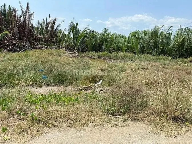 6017887 ảnh đại diện 1