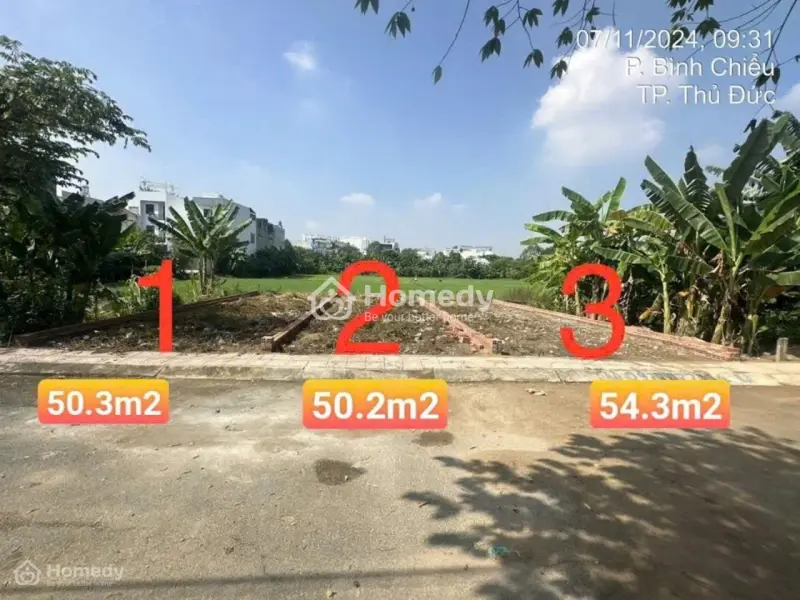 6017139 ảnh đại diện 1