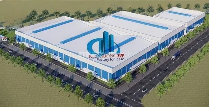 6017247 ảnh đại diện 1