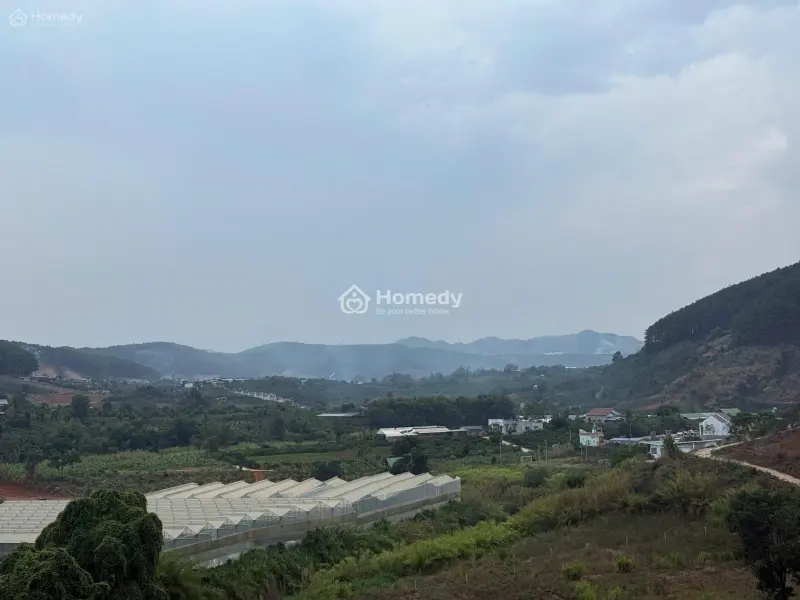 6017128 ảnh đại diện 1