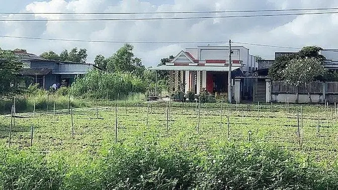 Đất Nền 406,2M2- Gò Công Đông ,Tiền Giang Shr Hẻm Xe Hơi Sát Mt