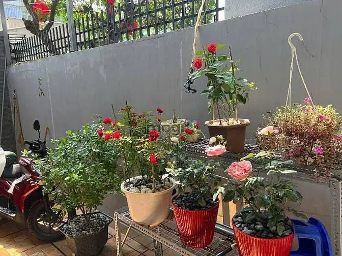Nhà Mặt Tiền Mới Đẹp Ở Ngay Gần Chợ Tam Hà 115M2 Chỉ 7,05 Tỷ