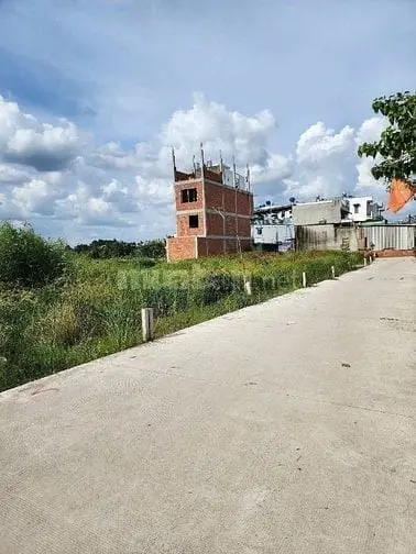 6017259 ảnh đại diện 1