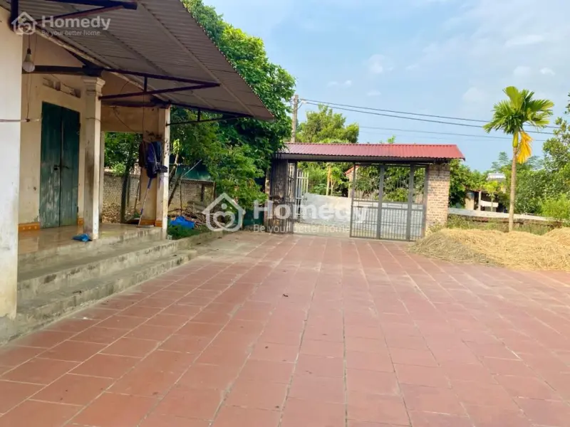 6017490 ảnh đại diện 1