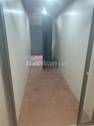 6017934 ảnh đại diện 1
