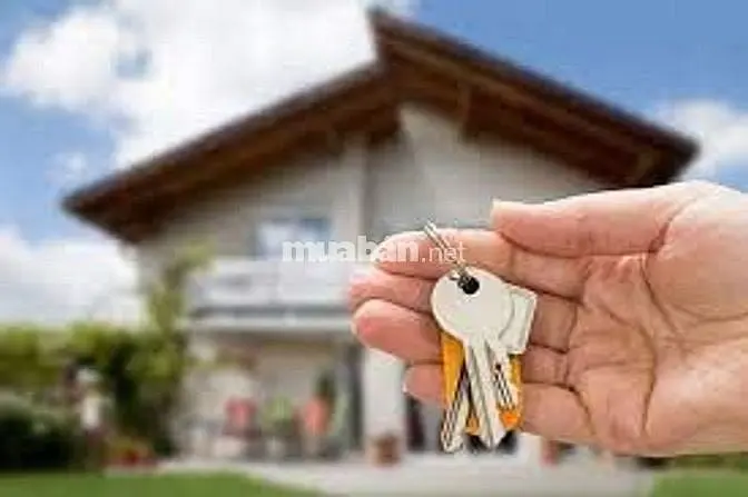 6017313 ảnh đại diện 1