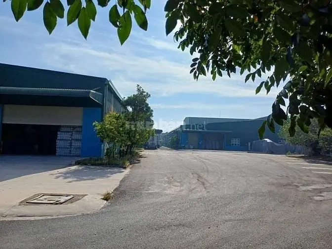 6017051 ảnh đại diện 1