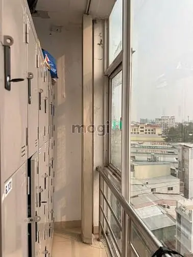 6016911 ảnh đại diện 1