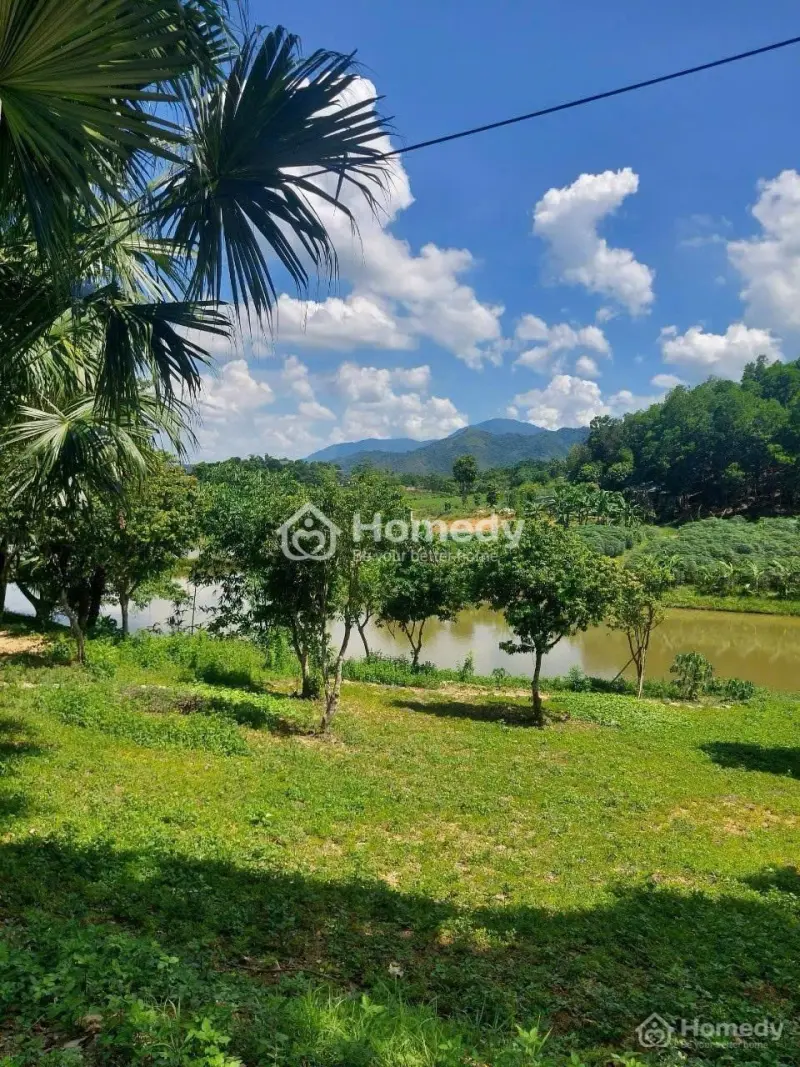 300M2 Thổ Cư Ba Vì, Hà Nội. Sổ Đỏ, Miễn Trung Gian.
