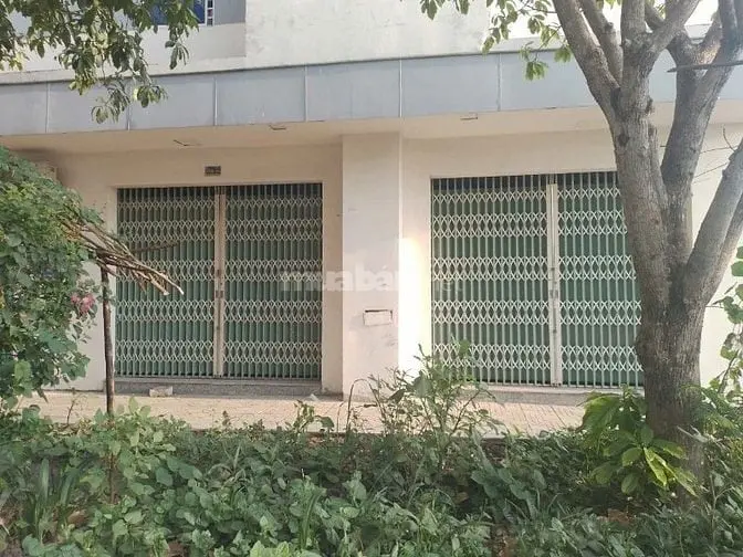 6016982 ảnh đại diện 1
