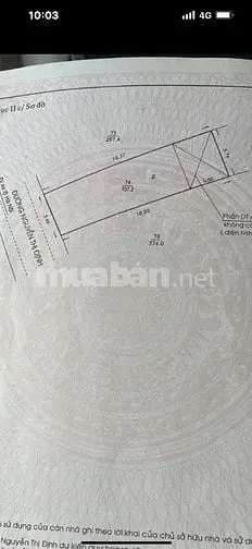 6017426 ảnh đại diện 1