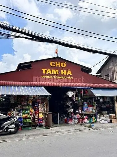 6017873 ảnh đại diện 1