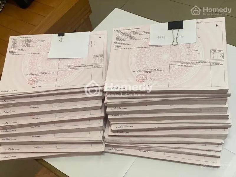 6017408 ảnh đại diện 1