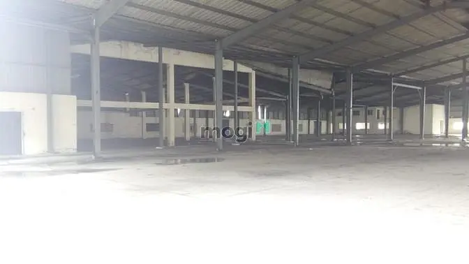 6017059 ảnh đại diện 1