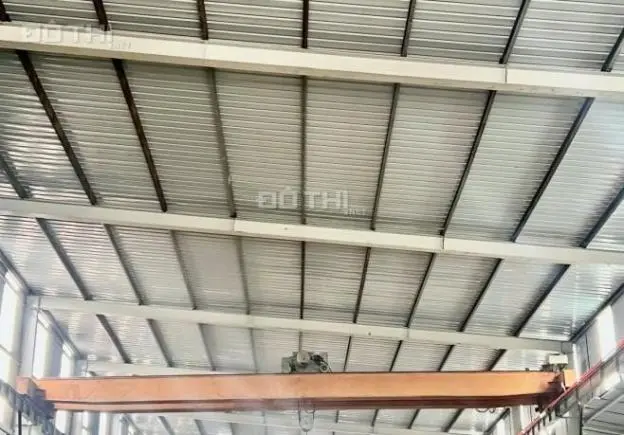 6017018 ảnh đại diện 1