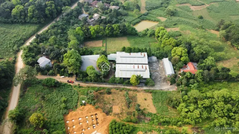 6017479 ảnh đại diện 1