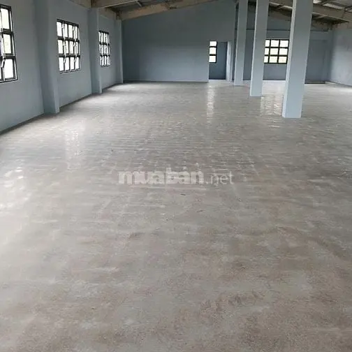 Cho Thuê Kho Xưởng An Hạ, Bình Chánh, Kv : 1.300M2, 3 Sàn Dt : 1.100M2