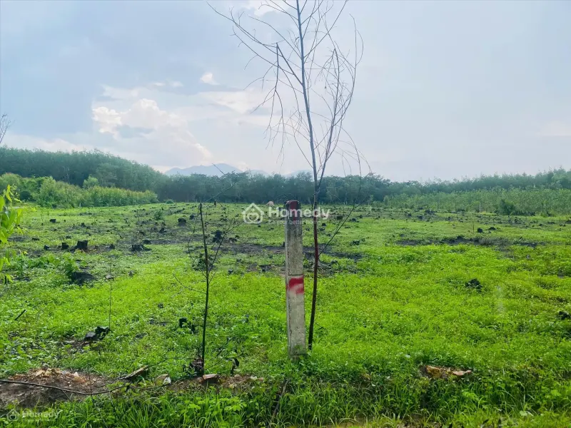 Bán 2557M2 Đất Tân Hà, Hàm Tân Giá Ngộp Chỉ 36Tr/M Ngang 2 Mặt Đường