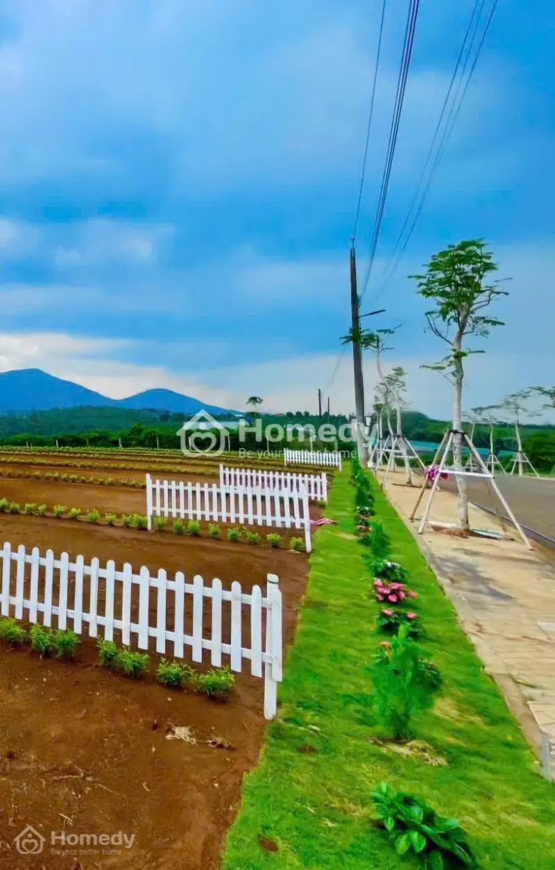 699 Triệu Sở Hữu Đất Hòa Ninh – Sổ Riêng Pháp Lý Rõ Ràng Gần Quốc Lộ 20 Chỉ 3Km