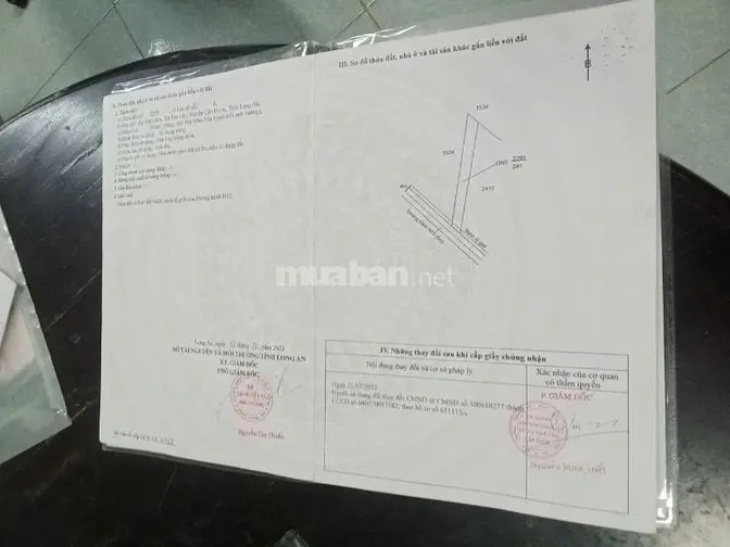 6017279 ảnh đại diện 1
