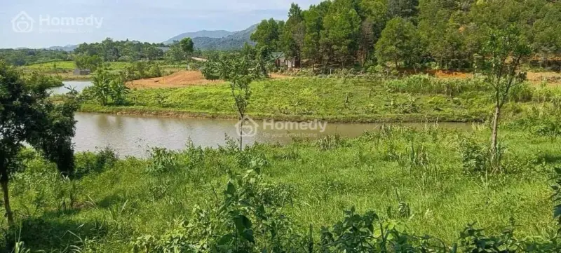 6017491 ảnh đại diện 1