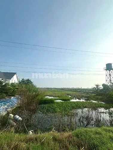 Bán 15 - 32 Công Đất (Xã Láng Biển, Tháp Mười, Đồng Tháp)