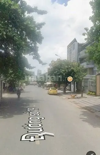 6017047 ảnh đại diện 1