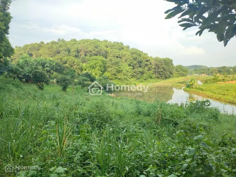 4989 M2 Vị Trí Đẹp Thứ 2 Ba Vì -Yên Bài - Ba Vì - Hà Nội(Miễn Môi Giới Trung Gian)