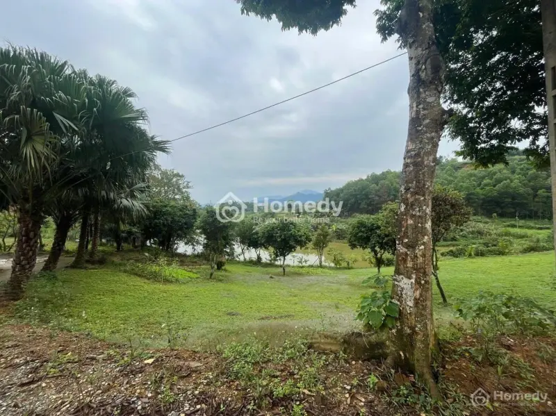 300M2 Thổ Cư Ba Vì, Hà Nội. Sổ Đỏ, Miễn Trung Gian.