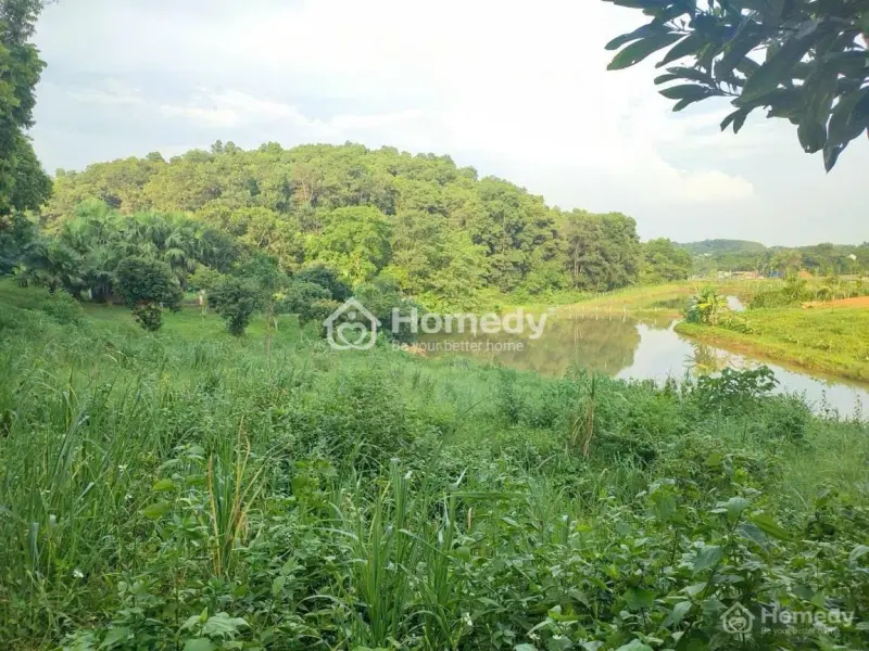 6017464 ảnh đại diện 1