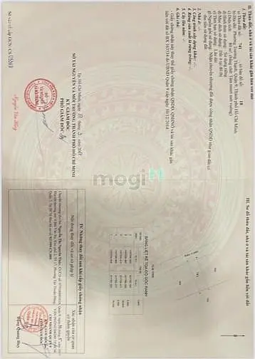 6017147 ảnh đại diện 1