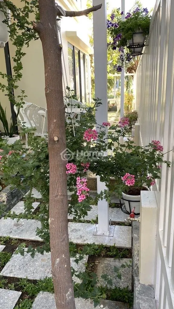 Bán Nhanh- Biệt Thự 10*20 _ Senturia Vườn Lài _ View Công Viên Thoáng Mát - Chính Chủ
