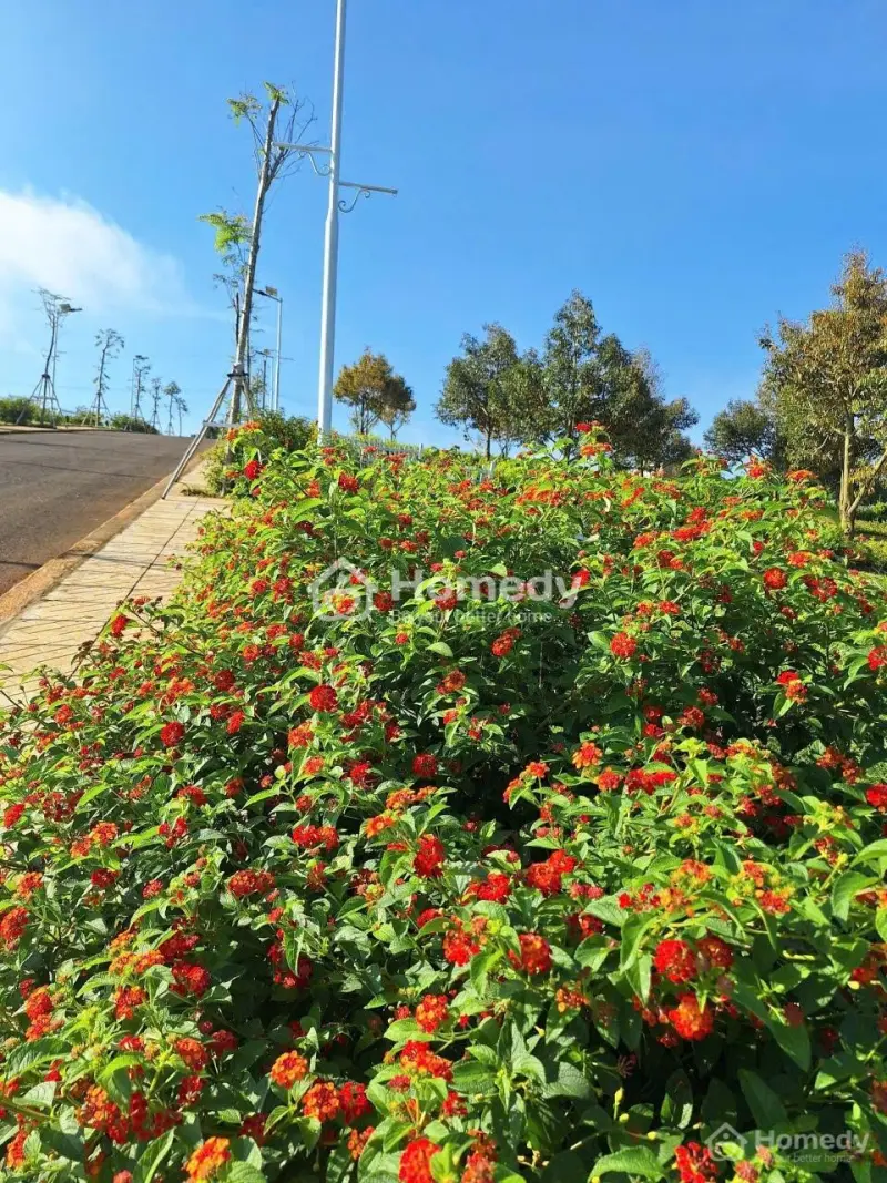 699 Triệu Sở Hữu Đất Hòa Ninh – Sổ Riêng Pháp Lý Rõ Ràng Gần Quốc Lộ 20 Chỉ 3Km