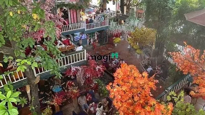 Bán Cafe “Phố Xưa” Ngang 24M 3 Lầu Sân Vườn 624M2 Nguyễn Ảnh Thủ 49 Tỷ