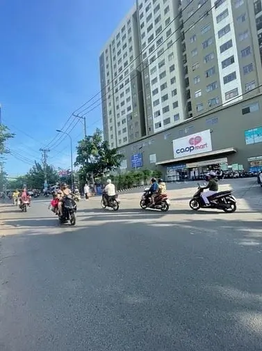 6017570 ảnh đại diện 1