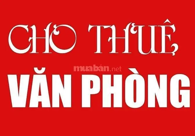 6017453 ảnh đại diện 1