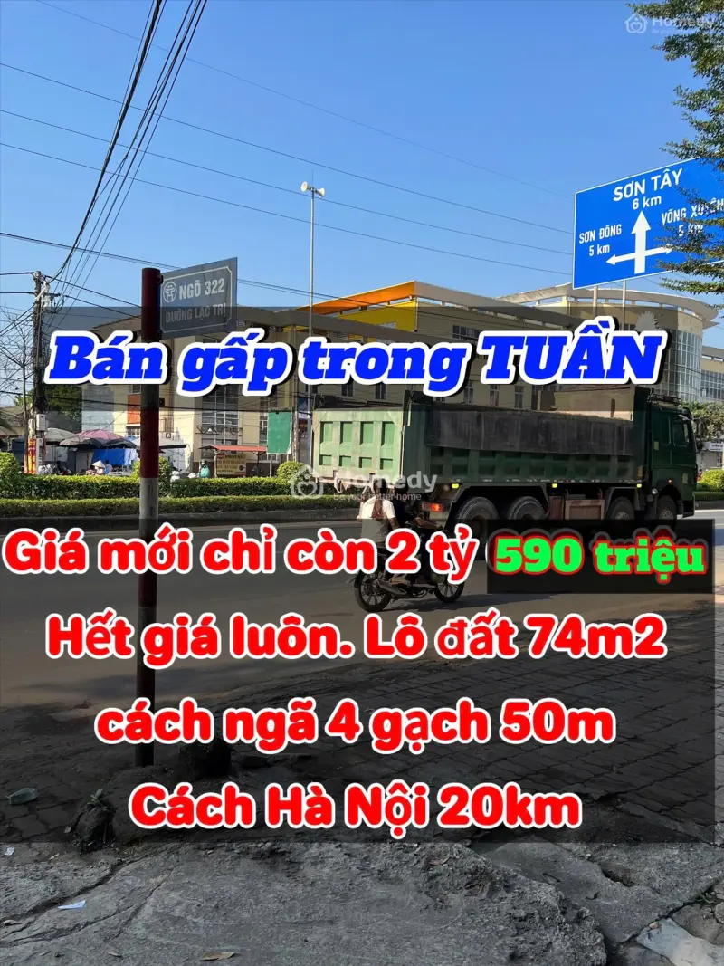 6017777 ảnh đại diện 1