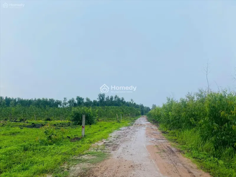 Bán 2557M2 Đất Tân Hà, Hàm Tân Giá Ngộp Chỉ 36Tr/M Ngang 2 Mặt Đường