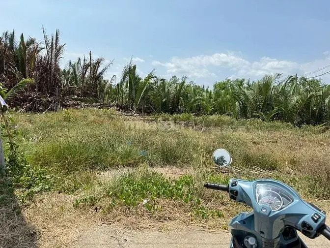 Cần Bán 422M2 Đất Nông Nghiệp,Mặt Tiền Đường Gò Me, Nhà Bè Giá 1Tỷ200