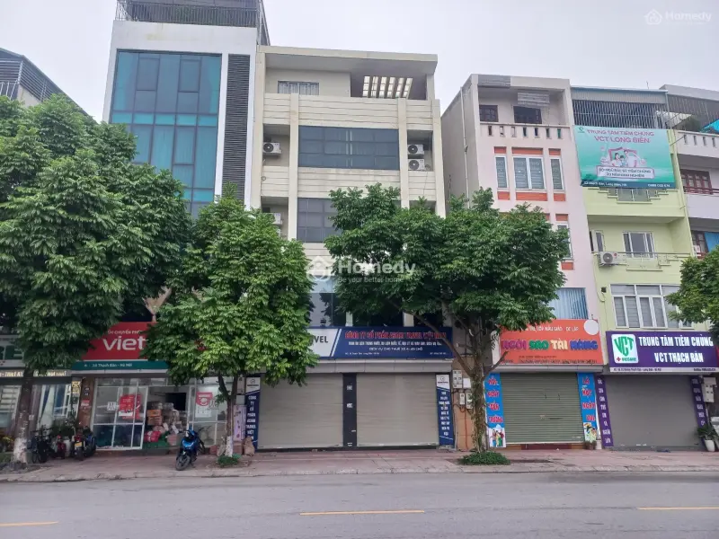 6017357 ảnh đại diện 1
