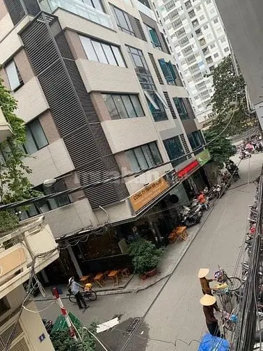 6017623 ảnh đại diện 1