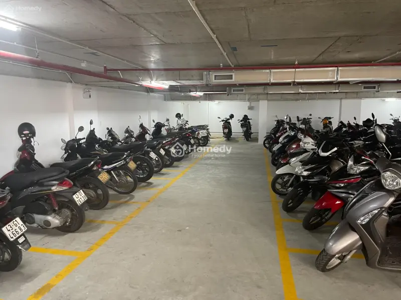 6017444 ảnh đại diện 1