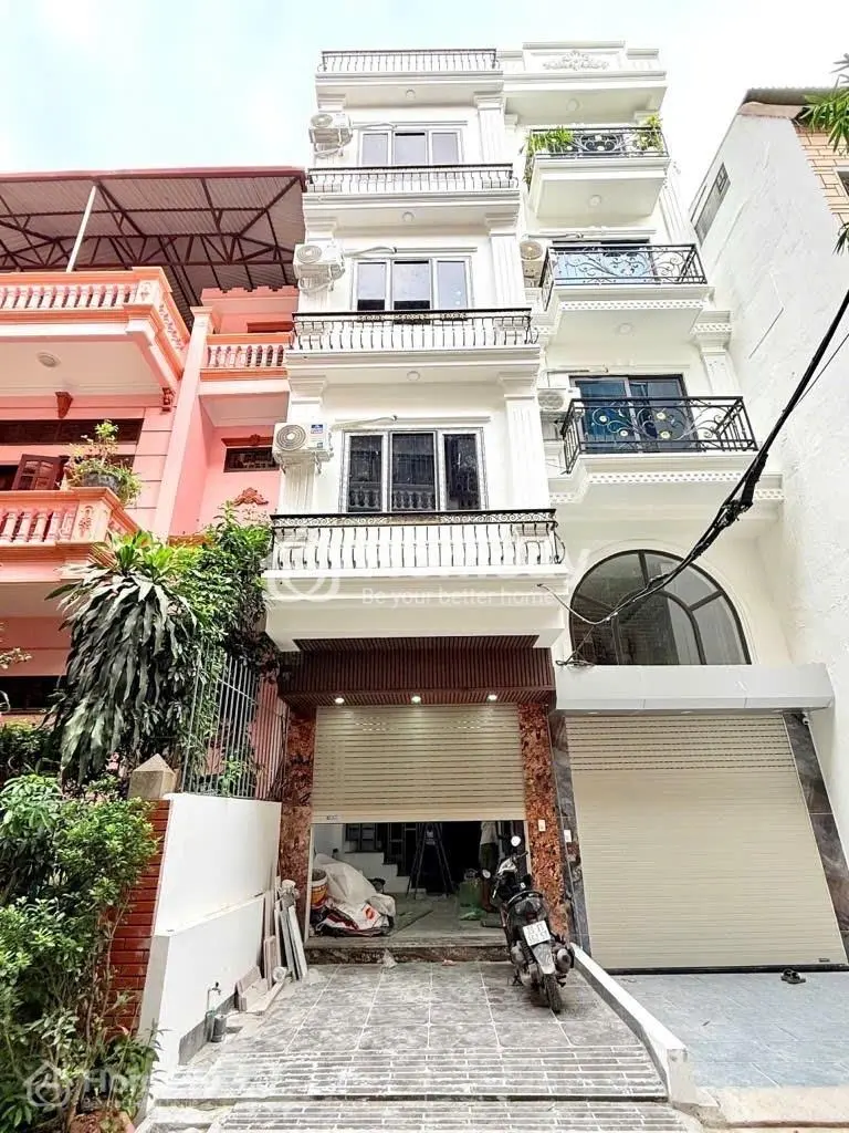 6017098 ảnh đại diện 1