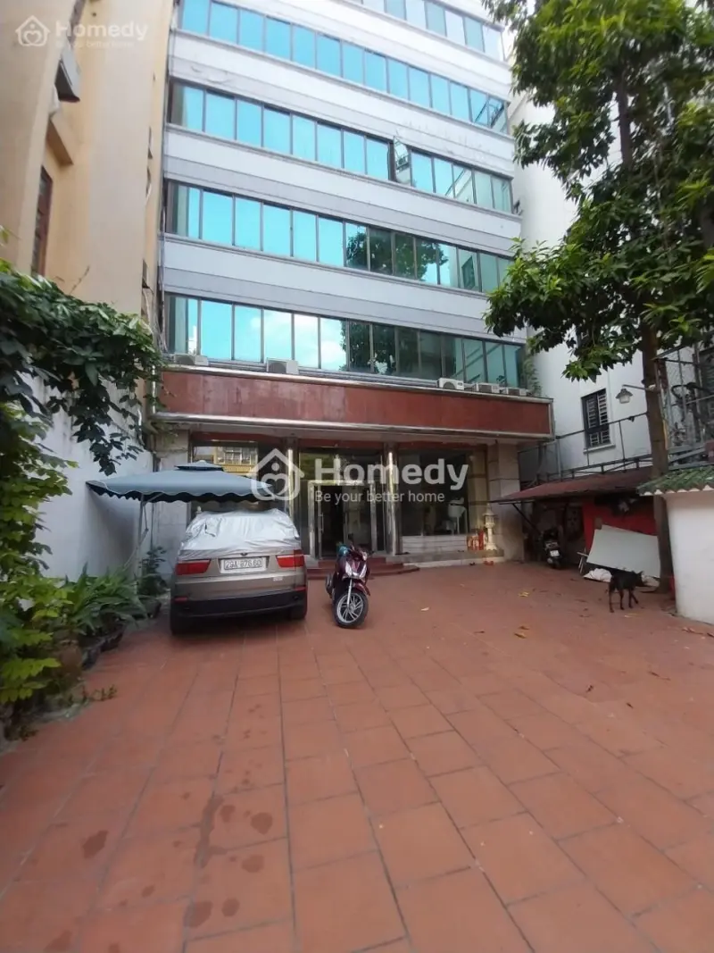 6017544 ảnh đại diện 1