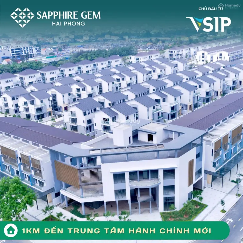 6017009 ảnh đại diện 1