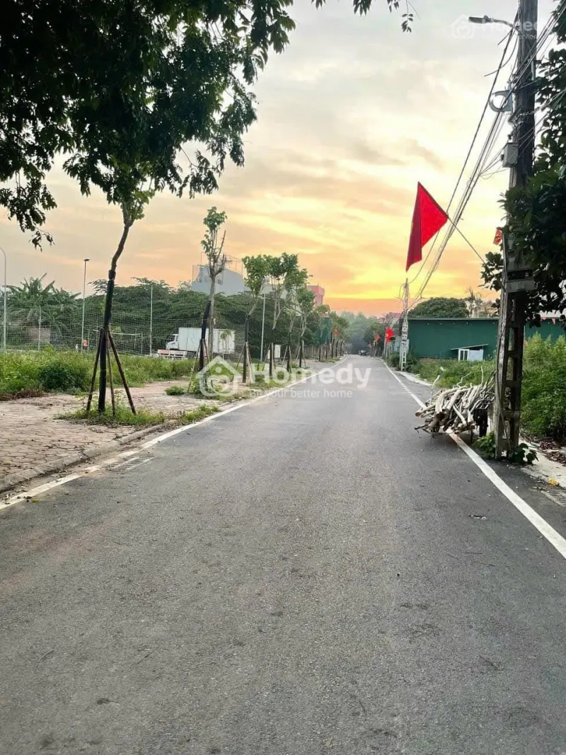 6017541 ảnh đại diện 1