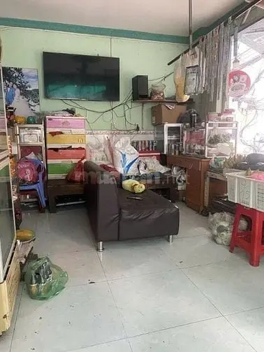 6017884 ảnh đại diện 1